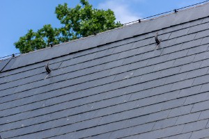 Exemple de rénovation d'une toiture en ardoises naturelles dans la région de Gesves